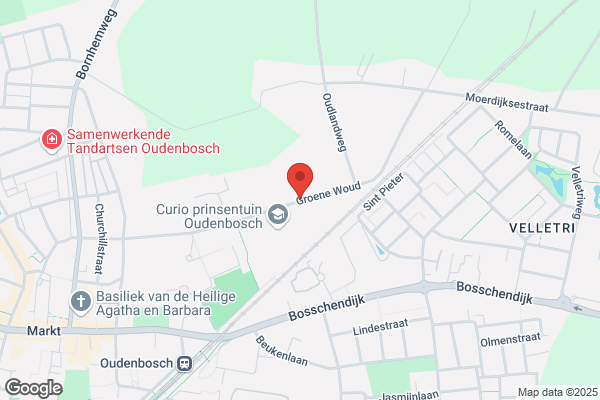 Leeuw, De