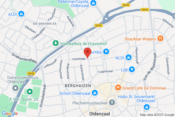 Pinokkio, Sticht
