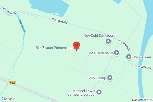 Zwaan