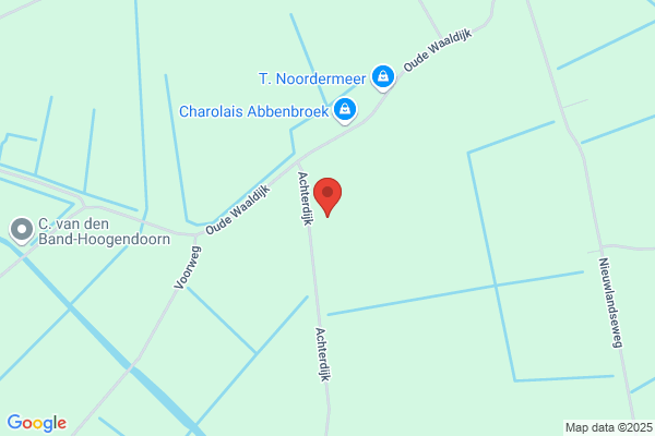 L. Saarloos