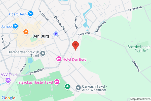 Hondenuitlaatservice Texel