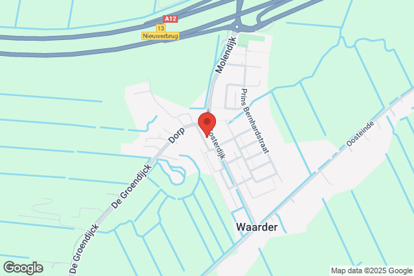 Raad Wiericke Cv