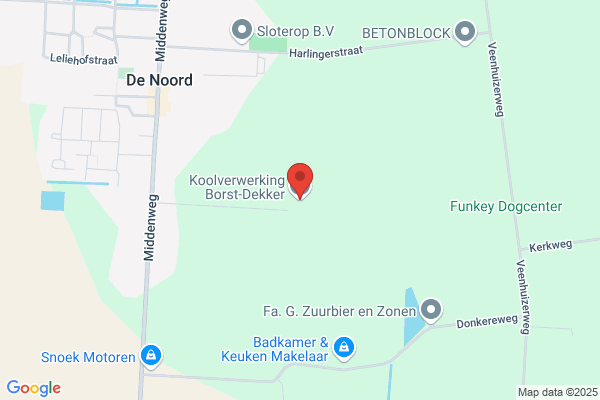 G.A. Borst