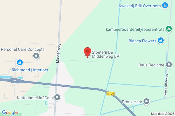 Stoeterij M J Sintenie