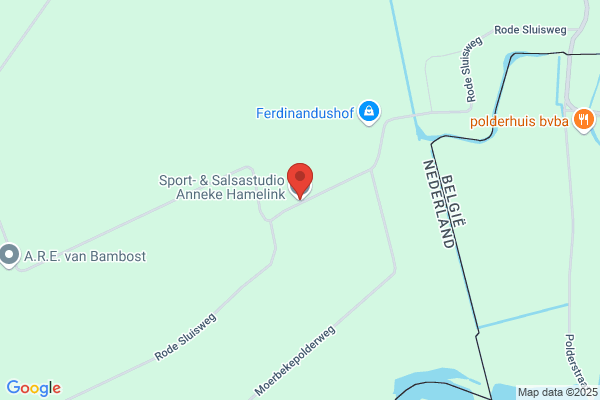 Hamelink, Anneke