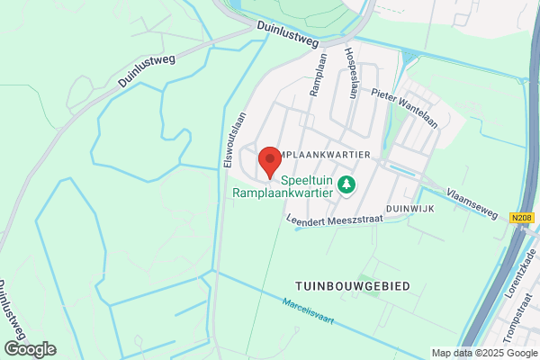 Acupunctuur H.N. Braam