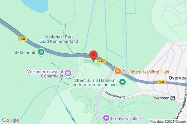 Y.J. Wijnands