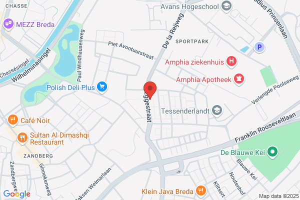 Dongen Coaching, Van