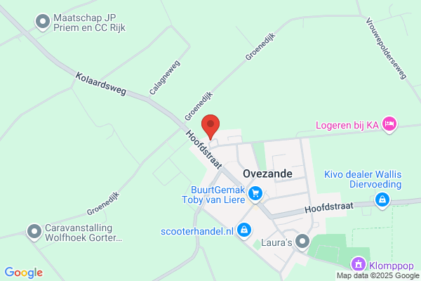 QI Acupunctuur