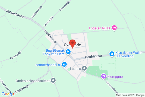 Wending Asbestsanering, De