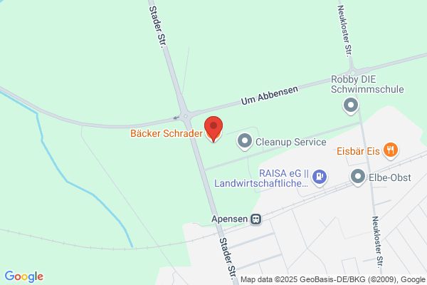 Schrader, Electronica Bv