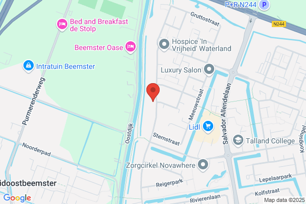 Amsterdam Windmill Tour