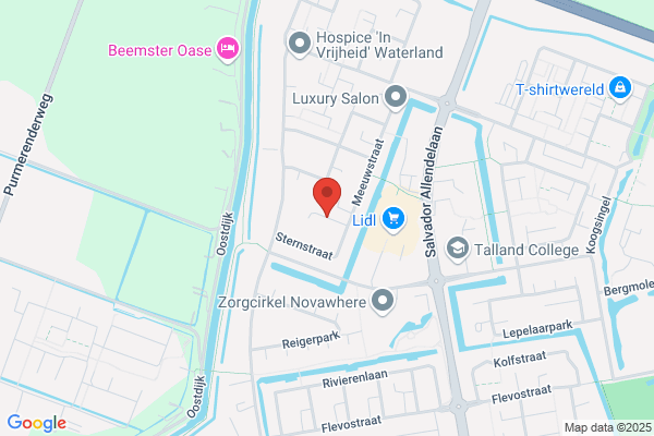 Condor Vertalingen