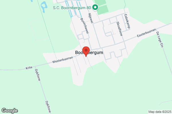 Rietdekkersbedrijf Van Veen