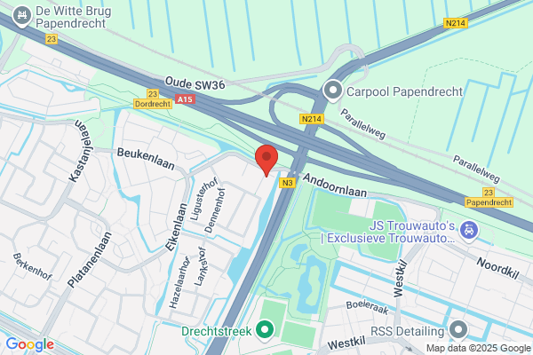 De Knotwilg