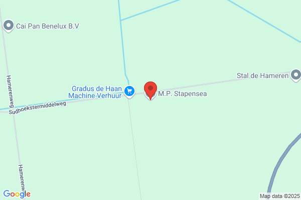J. Stapensea