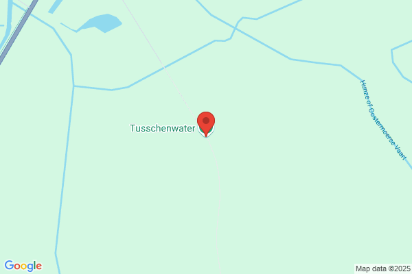 Buscon