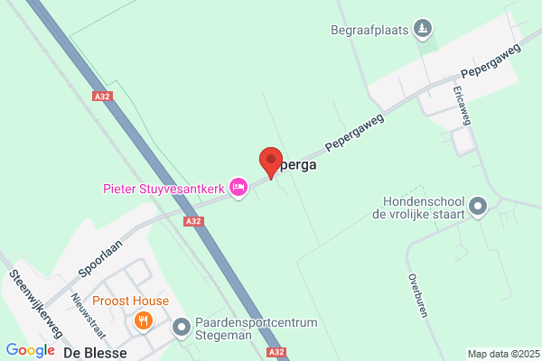 Stegeman, H