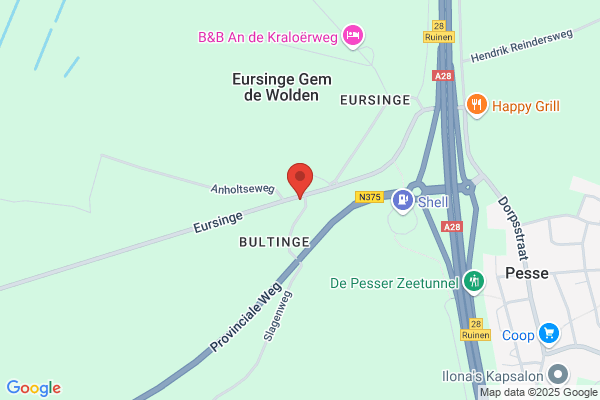 Ernine