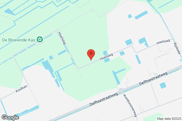 Dijk Plant Bv