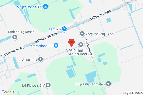 Bloemenkwekerij Piet Kouwenhoven Bv
