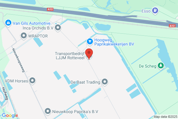 L.J.M. Van Den Nouweland