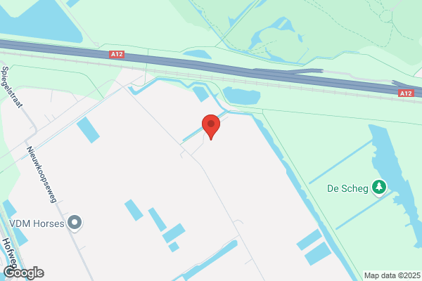 Leo Hoogweg Bv