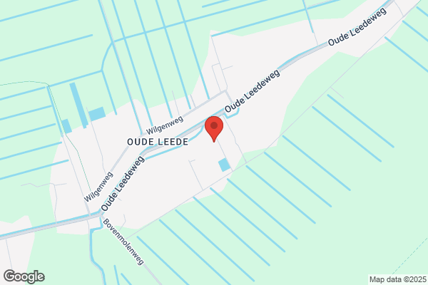 Walsmit, Henk