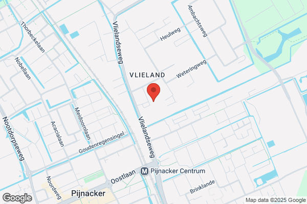 Cinerent Pijnacker