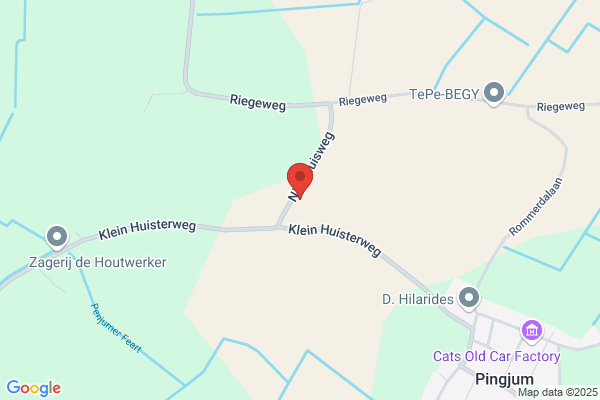 Twee Hanen, De