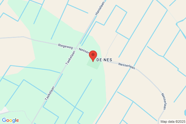 Jonge, De