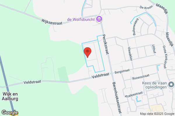 Correct Ongedierte Bestrijding