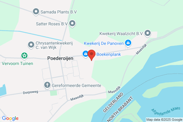 Hachenberg, T