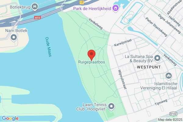 Ruigeplaatbos