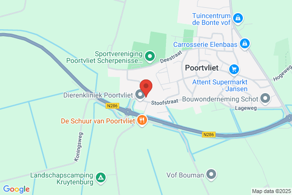 Jonge, De