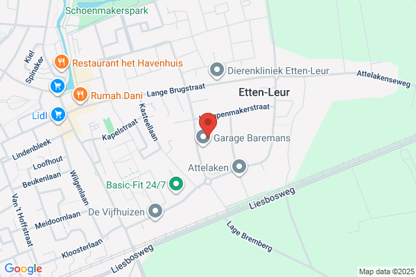 Blom