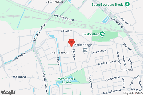 Associatie Voor Org & Manageme