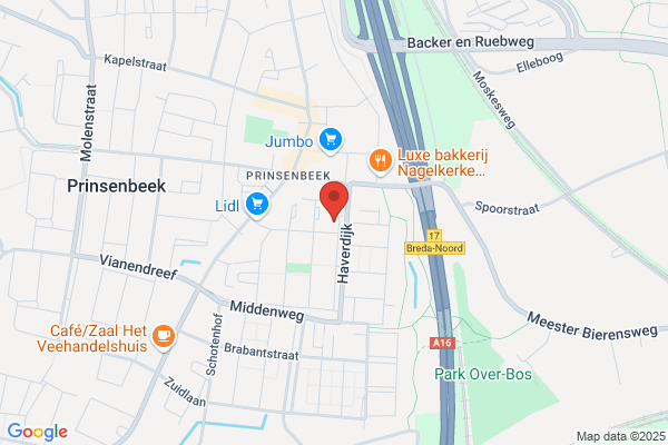 Vermeulen, A J N M