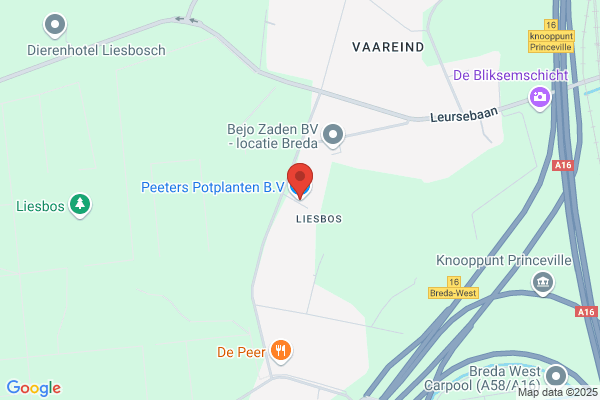Peeters, Drs A H C