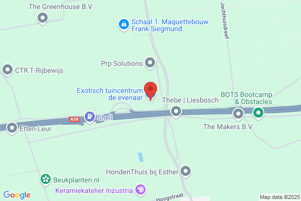Rodenburg Tuincentrum Etten-Leur Bv