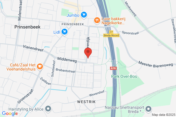Café, Het