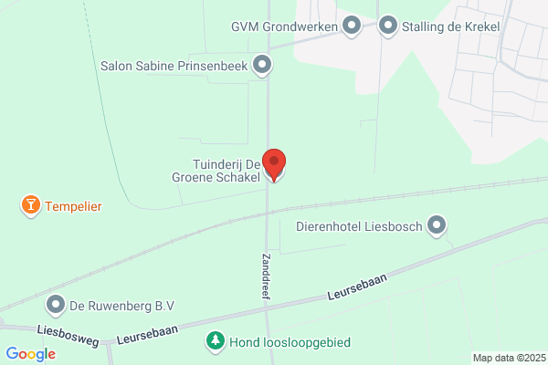 Groene Sael, De