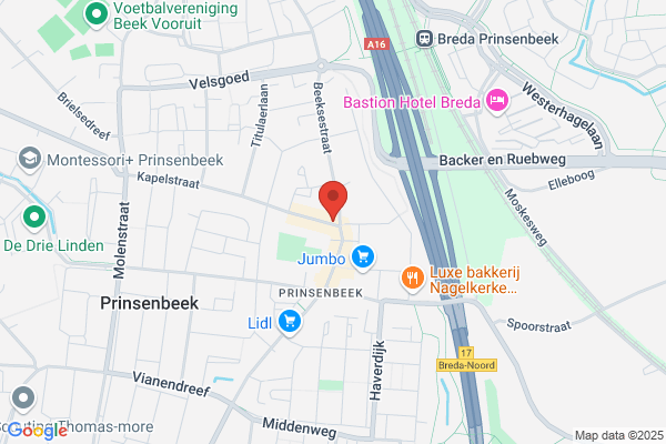 Pelikaan, De