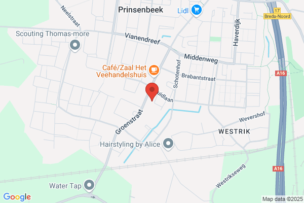 Alphen, Frank Van