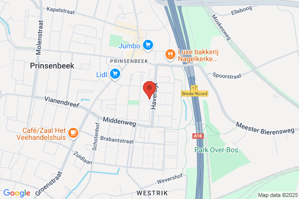 A.L. Van Der Steen Technisch Buro