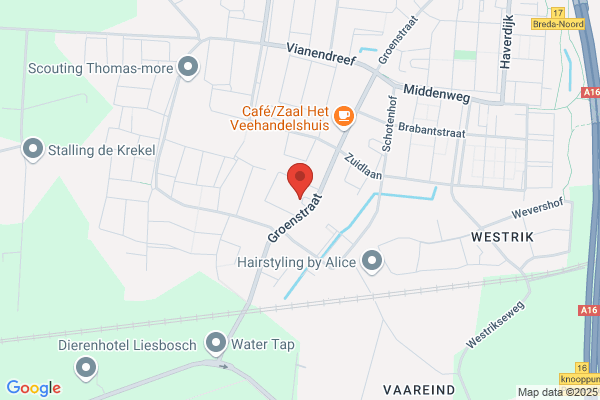 Verdonknet