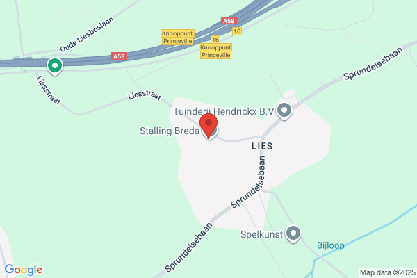 CamperGast