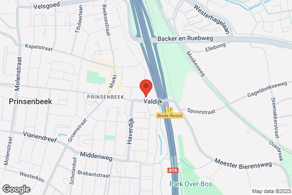 Feskens, C P