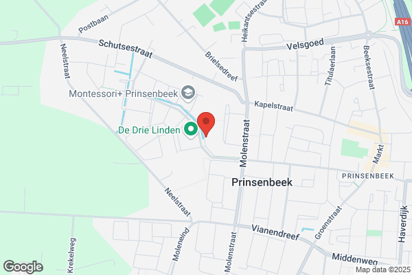 Visschers, Ineke
