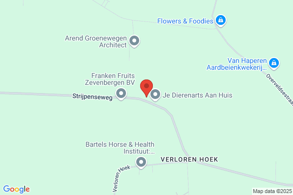 Willemsen